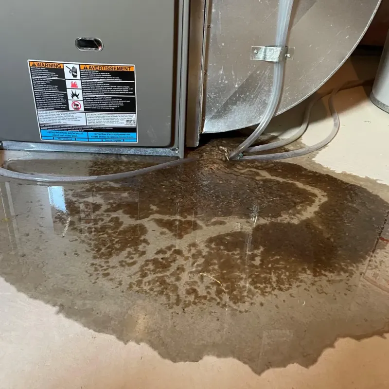 Appliance Leak Cleanup in East Concord, NH